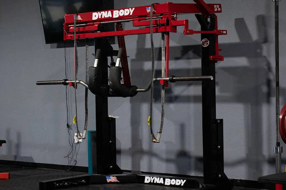 Dynabody equipment for best sale sale